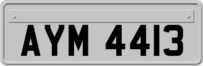 AYM4413
