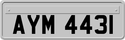 AYM4431