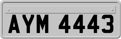 AYM4443
