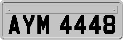 AYM4448