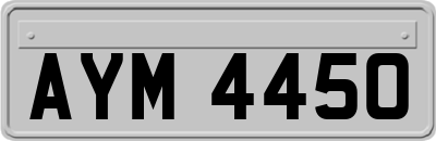 AYM4450