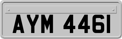 AYM4461