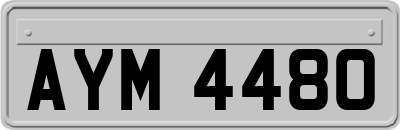 AYM4480