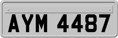 AYM4487