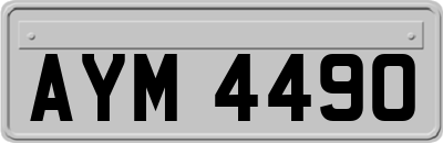 AYM4490