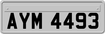 AYM4493