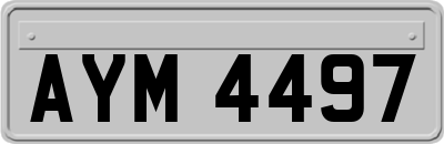 AYM4497