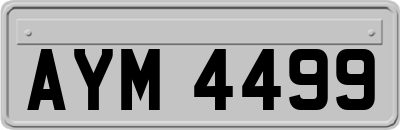 AYM4499