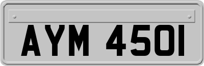 AYM4501