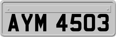 AYM4503