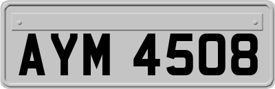 AYM4508