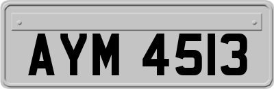 AYM4513