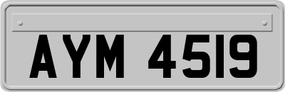 AYM4519