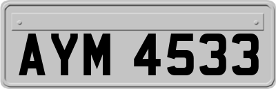 AYM4533