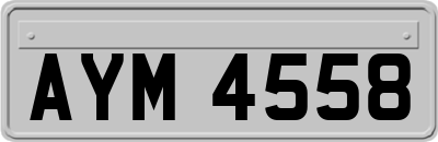 AYM4558