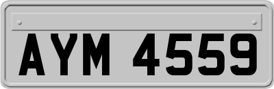 AYM4559