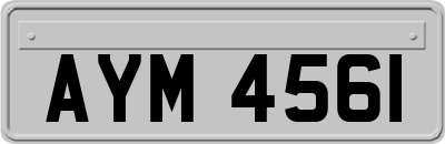 AYM4561