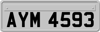 AYM4593