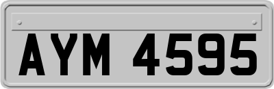 AYM4595
