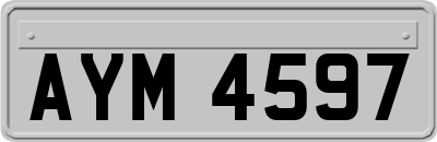 AYM4597
