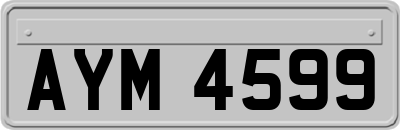 AYM4599