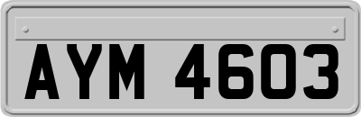 AYM4603