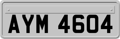 AYM4604