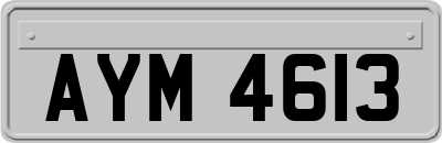 AYM4613