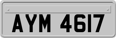 AYM4617