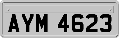 AYM4623