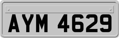 AYM4629