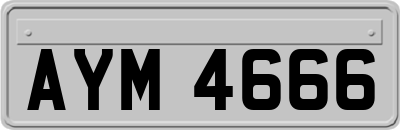 AYM4666