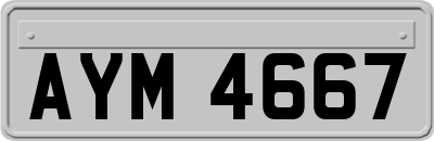 AYM4667
