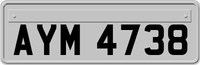 AYM4738