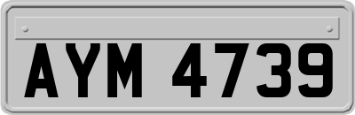 AYM4739