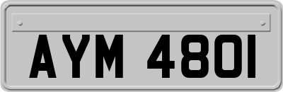 AYM4801