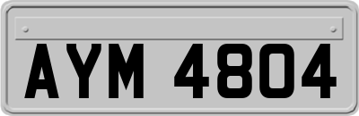 AYM4804