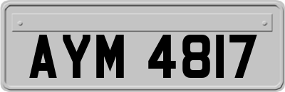 AYM4817