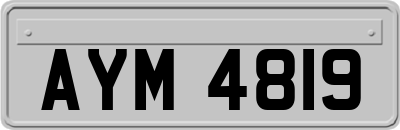 AYM4819