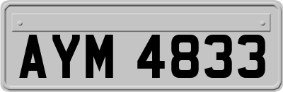 AYM4833
