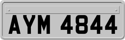 AYM4844