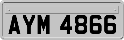 AYM4866