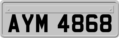 AYM4868
