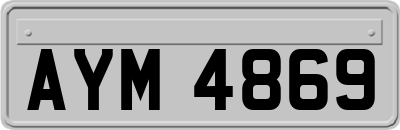 AYM4869