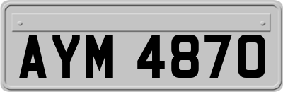 AYM4870