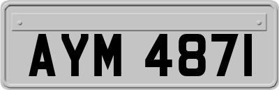 AYM4871