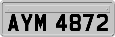 AYM4872