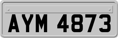 AYM4873