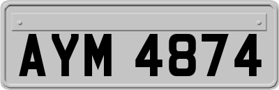 AYM4874