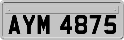 AYM4875